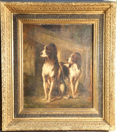 null CHARDIGNY Jules (1842-1892) Portraits de chiens - Paire d'huiles sur toile -...