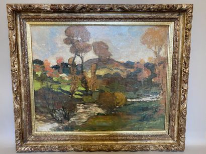 null DELVALLY Henry (XXe siècle) Paysage d'Automne au ruisseau

huile sur toile

signée...