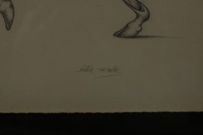 null TRIGNAC Colette, 

Cheval 

dessin au crayon 

19 x 27,5 cm