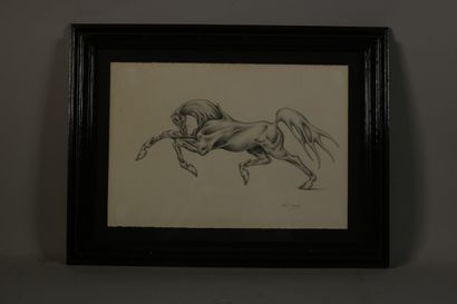 null TRIGNAC Colette, 

Cheval 

dessin au crayon 

19 x 27,5 cm