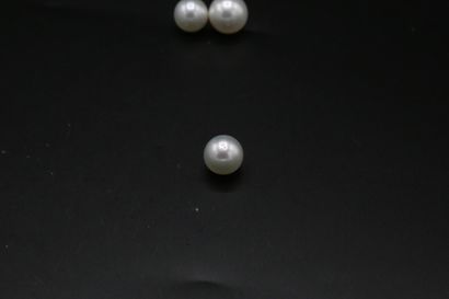 null * Suite de trois perles de culture sur papier : deux appairées de 14.2 et 14.3...