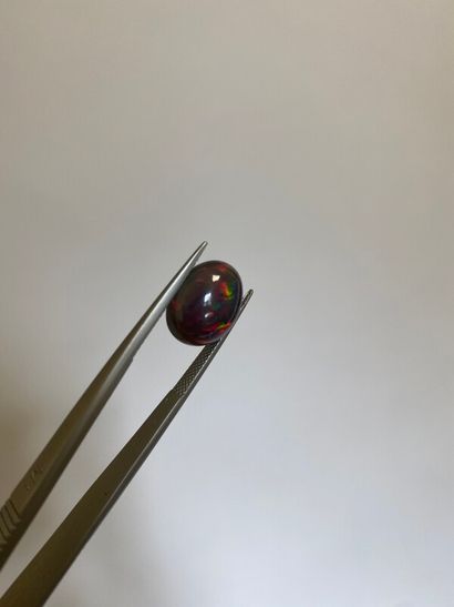 null Cabochon ovale d'opale noire - 5 ct