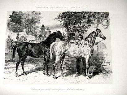 null 69. [Hippologie]. LALAISSE (François Hippolyte Delalaisse, dit). Etude de chevaux....