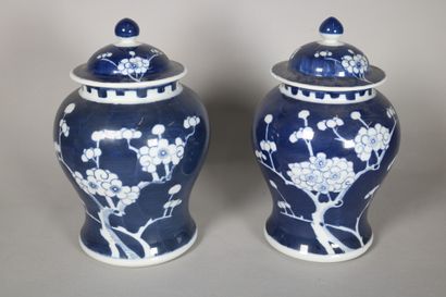 null Paire de pots couverts en porcelaine à décor d'arbre fruitier sur fond bleu....
