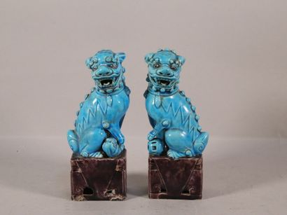 null Paire de chiens de Fo en faïence turquoise et violette - H. 19 ,5 cm