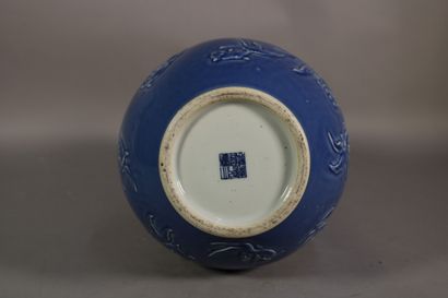 null Chine - Vase double gourde en porcelaine à fond bleu à décor de poissons en...