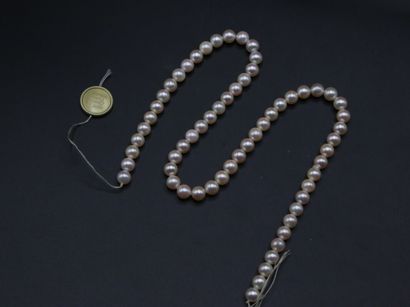 null Rang de 62 perles de culture légèrement rosées de 6.5 à 6.7 mm, avec étiquette...