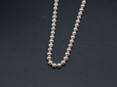 null Rang de 62 perles de culture légèrement rosées de 6.5 à 6.7 mm, avec étiquette...