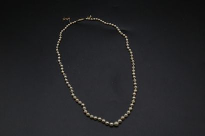 null Collier de perles de culture en chute (3,35 - 7 mm), fermoir or jaune 750 millièmes...