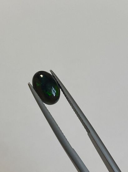 null Cabochon ovale d'opale noir - 1,05 ct