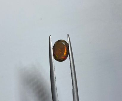 null Opale ovale facetté sur papier - 0.70 ct