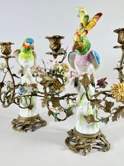 null Paire de candélabres aux perroquets en porcelaine de Meissen et monture de bronze...