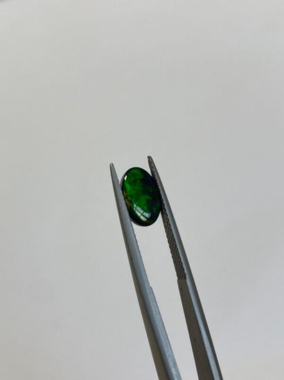null Cabochon ovale d'opale noire - 1,50 ct