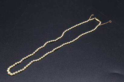 null Collier de perles en chute (4.75 mm à 2.58 mm), fermoir en or jaune 750 millièmes...