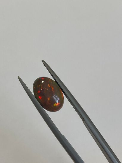 null Cabochon ovale d'opale - 1,55 ct