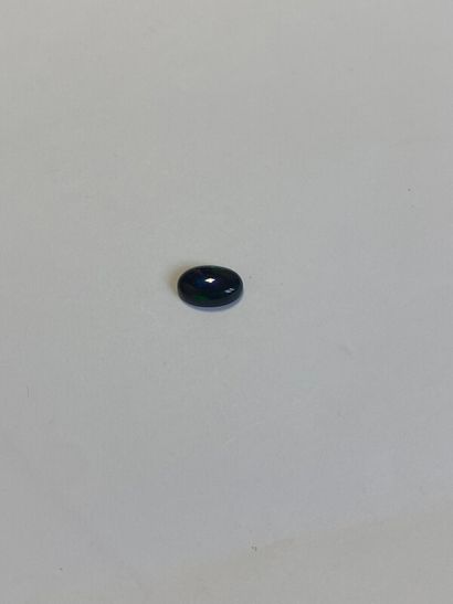 null Cabochon ovale d'opale noire - 1,60 ct