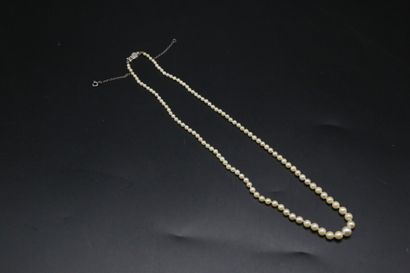 null Collier de 111 perles de culture ou perles fines* en chute de 2.6 mm à 5.6 mm,...