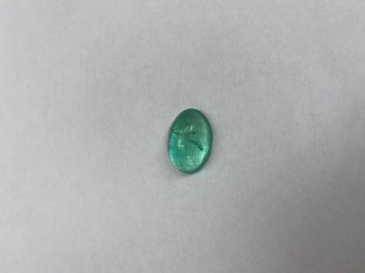 null Émeraude cabochon ovale - 9,10 ct
