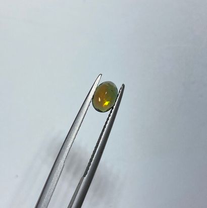 null Opale ovale facetté sur papier - 0.5 ct