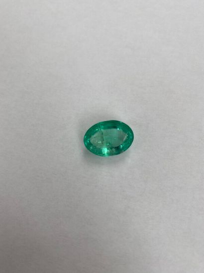 null Émeraude cabochon ovale - 9,10 ct