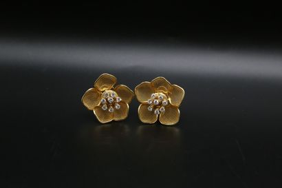 null PIAGET

Clip de corsage et paire de clips d'oreilles "Rose" en or jaune 750...