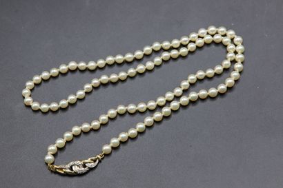 null Necklace of pearls of cultures clasp in yellow gold 750 thousandths with small...