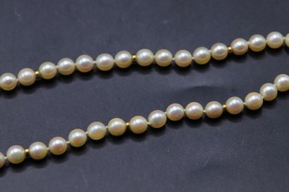 null Necklace of cultured pearls with gold spacers every five pearls. Clasp in yellow...