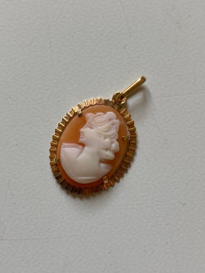 null Pendant in yellow gold 750 thousandths decorated with a cameo with profile of...