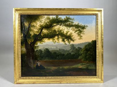 null LEBRUN (XIXth) 

Young girl under a tree 

Oil on canvas marked LEBRUN and dated...