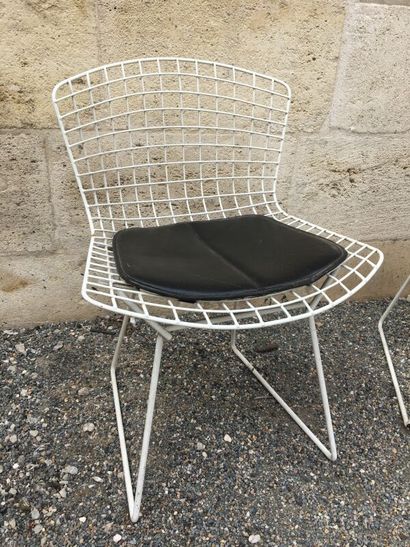 null Harry BERTOIA (1915-1978) - Pair of chairs model "Wire", the structure in white...
