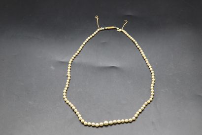 null Necklace of pearls in fall (3.4 to 6.85 mm), clasp yellow gold 750 thousandth...