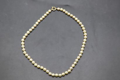 null Collier de perles (6.4 à 6.9 mm), fermoir bouée en or jaune 750 millièmes. 

Poids...