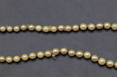 null Necklace of pearls in fall (3.4 to 6.85 mm), clasp yellow gold 750 thousandth...