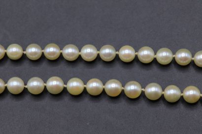 null Collier de perles (6 à 6.5 mm), fermoir or jaune 750 millièmes avec chainette...
