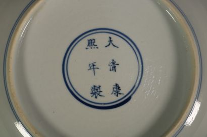 null China - Blue, white and red copper porcelain plate decorated with squirrel and...