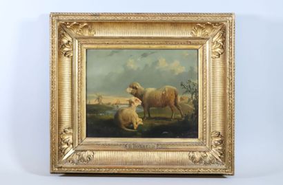 Rosa BONHEUR (1822-1899) 
Étude de moutons,...