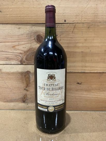 null 6 Mag. Ch. Tour de Bigorre, AC Bordeaux red, 2003, HE and BG 