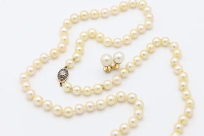 null Sautoir de perles calibrant 7,8 à 8,5 mm avec fermoir à cliquet ovale ajouré...