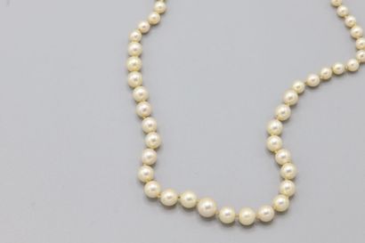 null Collier de perles en chute, diamètre 5 à 8,65 mm, fermoir or jaune 750 millièmes...