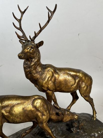 null Jules Edmond MASSON (1871-1932)
Stag and doe 
Subject in gilded bronze 
Stamp...