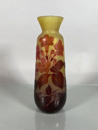Établissements GALLÉ (1904-1936) 
Vase tronconique...