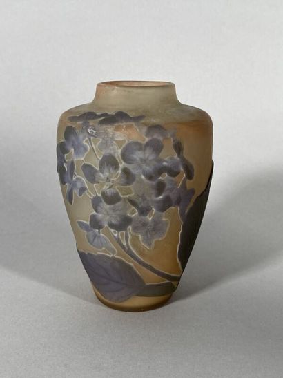 null Établissements GALLÉ (1904-1936) 
Vase en verre multicouche à décor dégagé à...