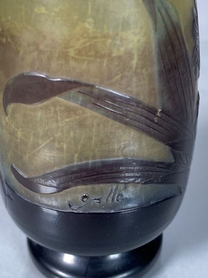 null Établissements GALLÉ (1904-1936) 
Vase balustre à col rétréci sur piédouche...