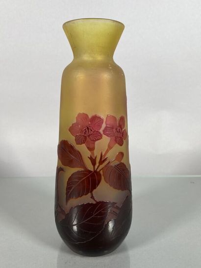null Établissements GALLÉ (1904-1936) 
Vase tronconique à col en verre multicouche...