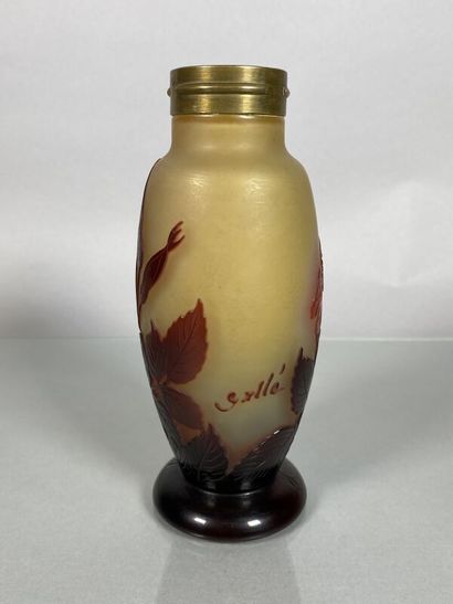 null Établissements GALLÉ (1904-1936) 
Pied de lampe en verre multicouche à décor...