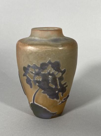 null Établissements GALLÉ (1904-1936) 
Vase en verre multicouche à décor dégagé à...