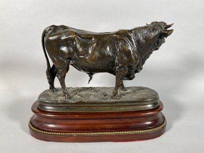 null Pierre-Jules MÊNE (1810-1879)
Norman bull
Subject in bronze with a medal patina,...