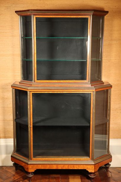 Display case with two offset bodies in light...