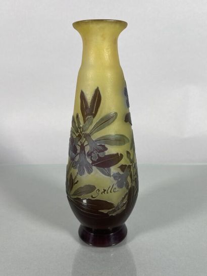 null Establishments GALLÉ (1904-1936) 
Baluster vase with a flared neck in multi-layered...