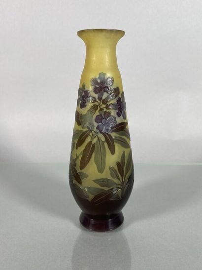 Établissements GALLÉ (1904-1936) 
Vase balustre...